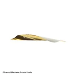 Spider Vanes 2-1/8" Invictus Vanes For Compound -Shooting Store 1240029 gold