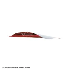 Spider Vanes 2-1/8" Invictus Vanes For Compound -Shooting Store 1240029 red