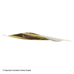 Spider Vanes 2-3/4" Invictus Vanes For Compound -Shooting Store 1240030 gold