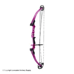 Genesis Archery Mini Genesis Bow (Colors) -Shooting Store 1570004 purple