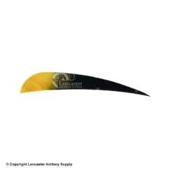 Ozark Eagle Tips 4" Parabolic Feather -Shooting Store 1610023 black gold