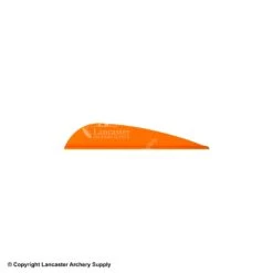 AAE TRAD Vane -Shooting Store 1790224 ssgold 26