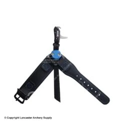 Stan Xtinction 2 Release