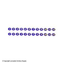 Gunstar Tail Numbers -Shooting Store 2010017 blue yel