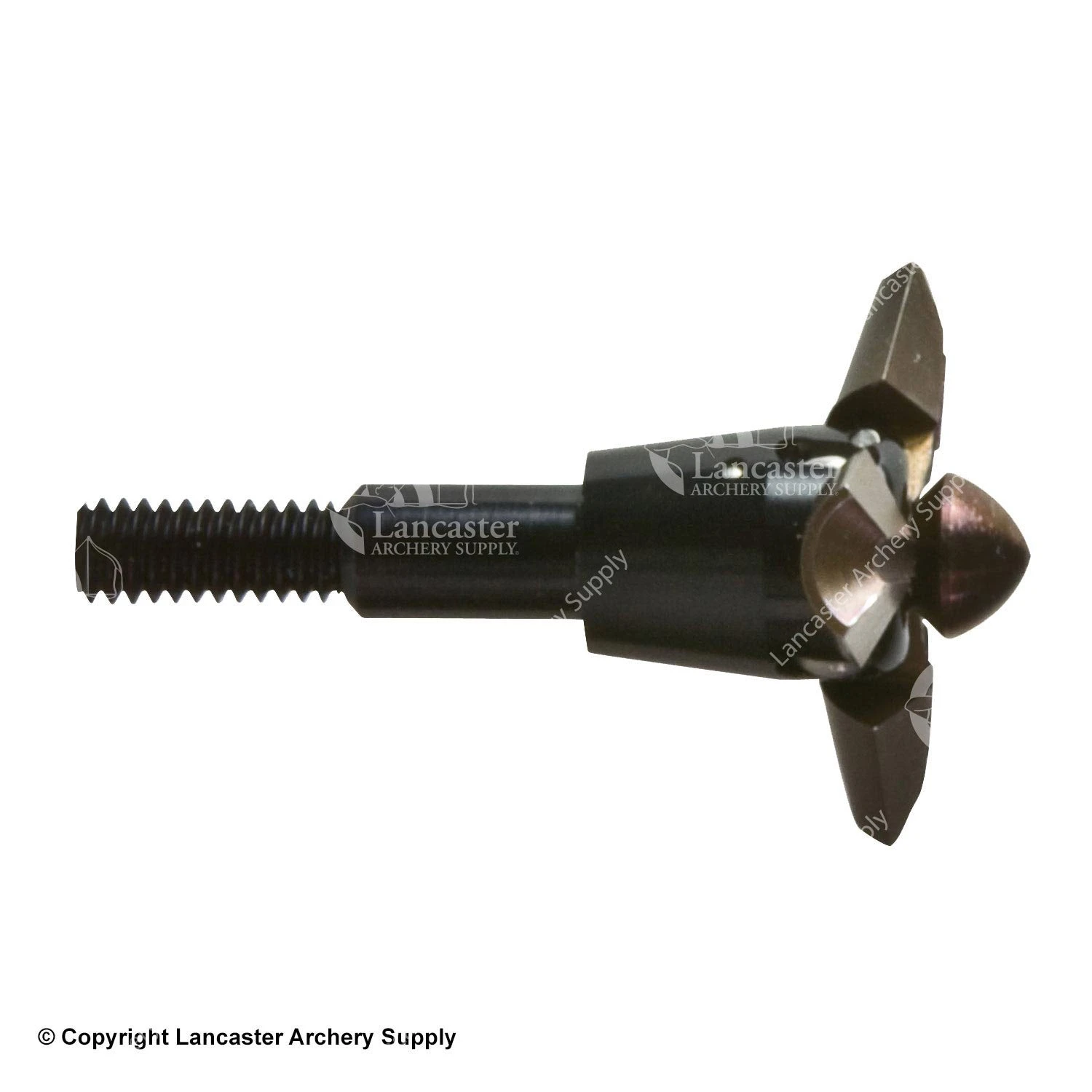 Easton V3 Expandable Varmint Points 1 Easton V3 Expandable Varmint Points