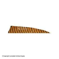 Gateway 4" Shield Barred Feather -Shooting Store 2270003 brown