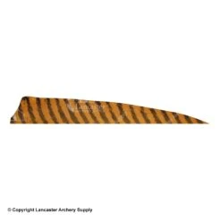 Gateway 5" Shield Barred Feather 12 Gateway 5" Shield Barred Feather -Shooting Store 2270004 brown