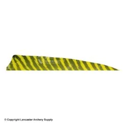 Gateway 5" Shield Barred Feather 14 Gateway 5" Shield Barred Feather -Shooting Store 2270004 yellow