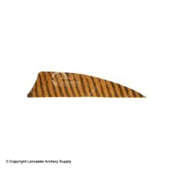 Gateway 3" Shield Barred Feather -Shooting Store 2270005 brown