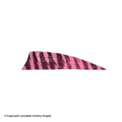 Gateway 3" Shield Barred Feather -Shooting Store 2270005 pink