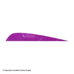 Gateway 4" Parabolic Feather -Shooting Store 2270027 purple