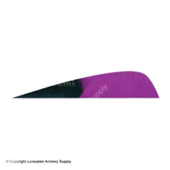Gateway 3" Parabolic Hann-Bun Kuro Feather -Shooting Store 2270072 purple