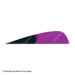 Gateway 4" Parabolic Hann-Bun Kuro Feather -Shooting Store 2270073 purple