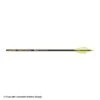 Gold Tip Hunter Pro Fletched Arrows