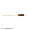 Gold Tip Traditional Fletched Arrows