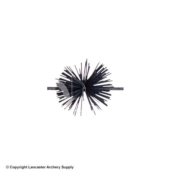 X-Spot Colored Whiskers 1 X-Spot Colored Whiskers