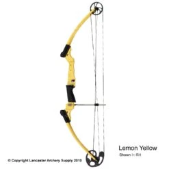 Genesis Archery Original Genesis Bow (Colors) -Shooting Store 3110064 lemonyellow