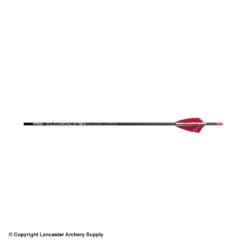 PSE Razorback Youth Arrow