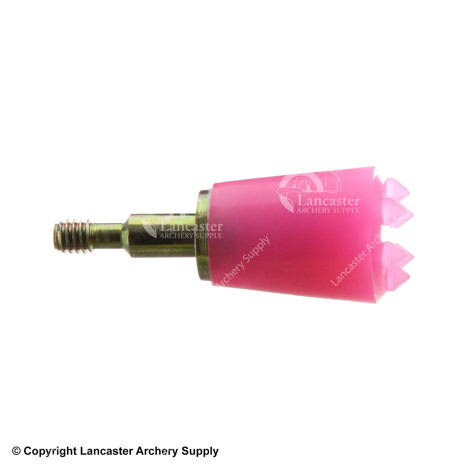 Saunders Screw-In Bludgeon Points 2 Saunders Screw-In Bludgeon Points - Image 2