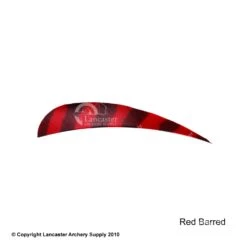 Trueflight Barred 4" RW Round Back Feather -Shooting Store 5200005 barredred