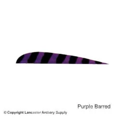 Trueflight Barred 4" RW Round Back Feather -Shooting Store 5200005 purple