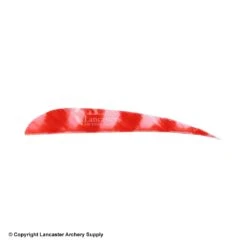 Trueflight Brite Stripes 4" RW Round Back Feather