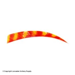 Trueflight Brite Stripes 5" RW & LW Shield Back Feather 9 Trueflight Brite Stripes 5" RW & LW Shield Back Feather -Shooting Store 5200007 char orange