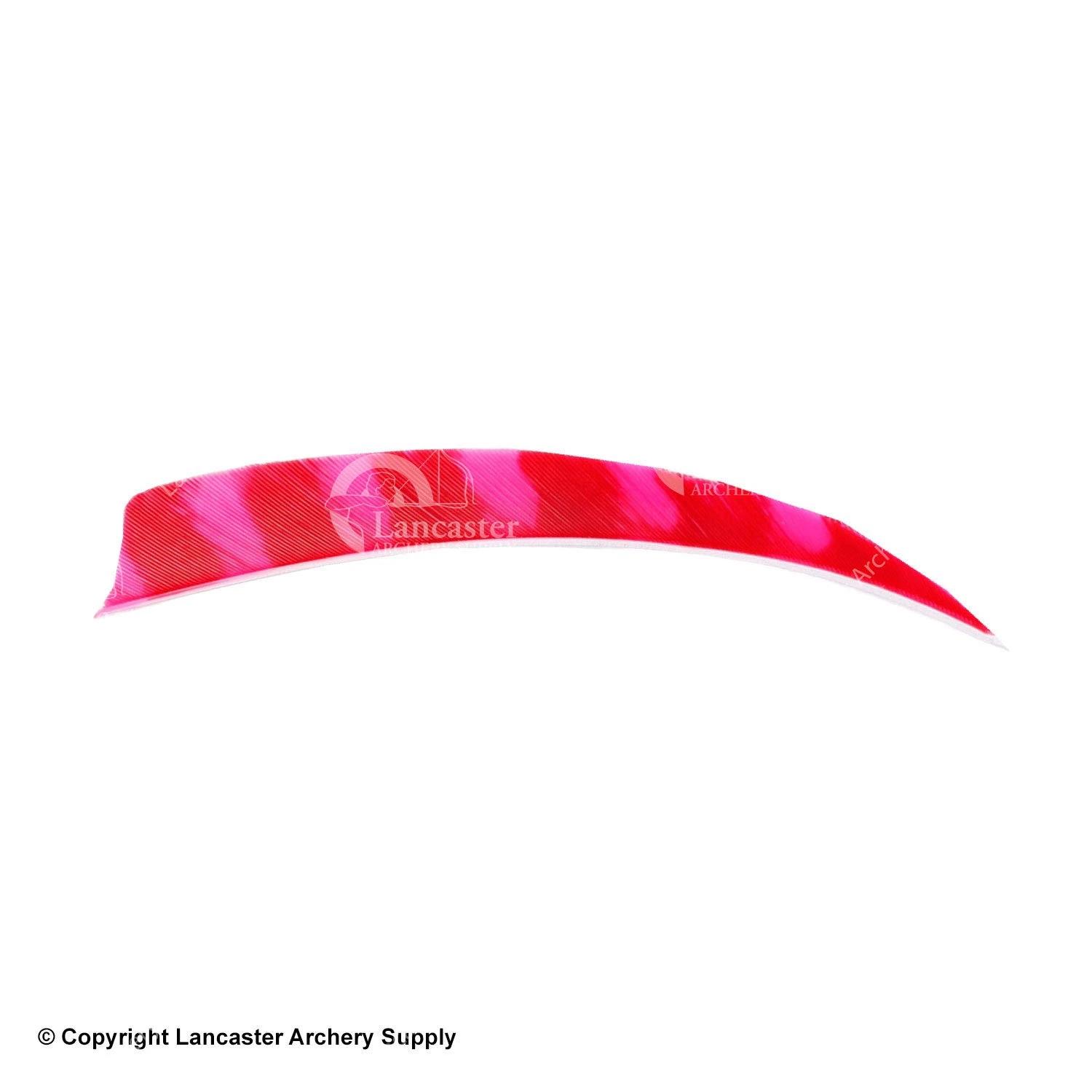 Trueflight Brite Stripes 5" RW & LW Shield Back Feather 3 Trueflight Brite Stripes 5" RW & LW Shield Back Feather - Image 3