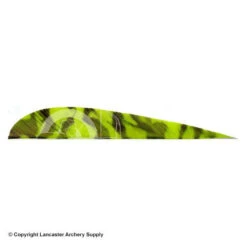 Trueflight Camo 4" RW Round Back Feather 15 Trueflight Camo 4" RW Round Back Feather -Shooting Store 5200010 chartreuse