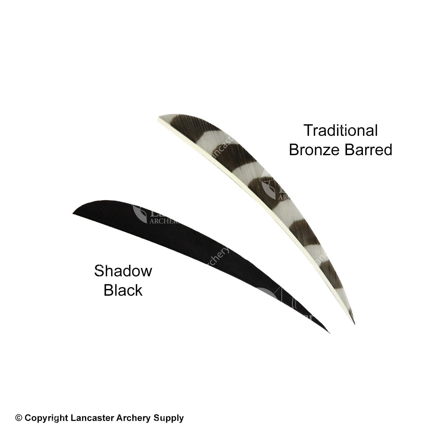 Trueflight 5" Round Back Feathers (18 Count Combo Pack) 9 Trueflight 5" Round Back Feathers (18 Count Combo Pack) - Image 9