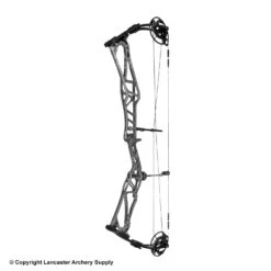 2020 Elite REZULT Target Compound Bow -Shooting Store 6530124 gray