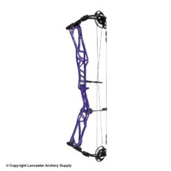 2020 Elite REZULT Target Compound Bow -Shooting Store 6530124 purple