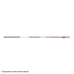 Bloodsport Justice Fletched Arrows