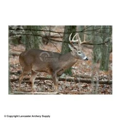 NiceTargets Deer Targets 9 NiceTargets Deer Targets -Shooting Store 8860002 broadright