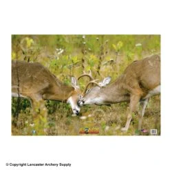 NiceTargets Deer Targets 12 NiceTargets Deer Targets -Shooting Store 8860002 fight