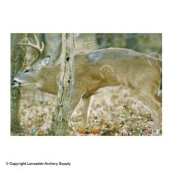 NiceTargets Deer Targets 13 NiceTargets Deer Targets -Shooting Store 8860002 front