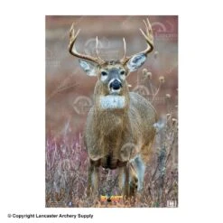NiceTargets Deer Targets 11 NiceTargets Deer Targets -Shooting Store 8860002 straighton
